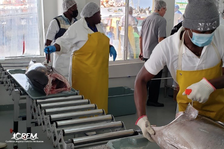 Caribbean Fisheries Forum hosts its 24th Regular Session ahead of Ministerial Meeting